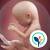 BabyCenter Ma Grossesse